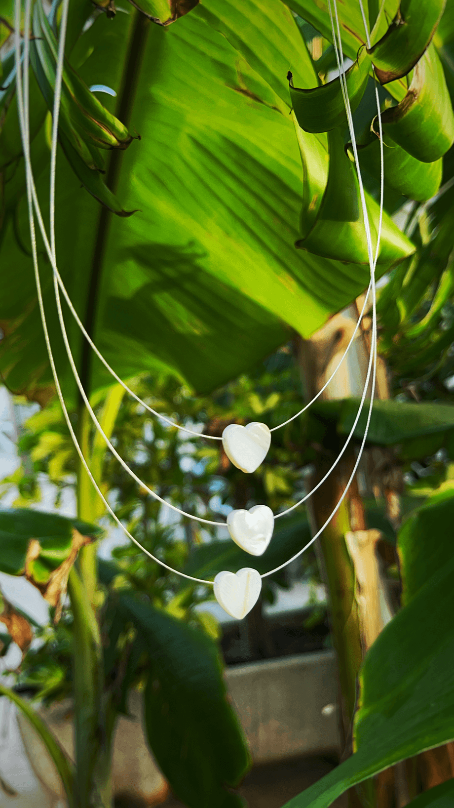 Coeur 2